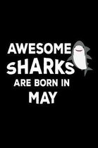 Awesome Sharks Are Born In May