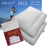 iSleep Iris oreiller Set (2 Coussins + 2 Moltoncases) - Dreampearls - 50x60x10 cm - Wit