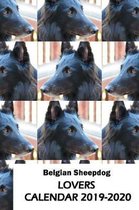Belgian Sheepdog Lovers Calendar 2019-2020