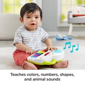 Fisher-Price Leerplezier Puppy's Piano NL