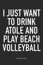 I Just Want to Drink Atole and Play Beach Volleyball