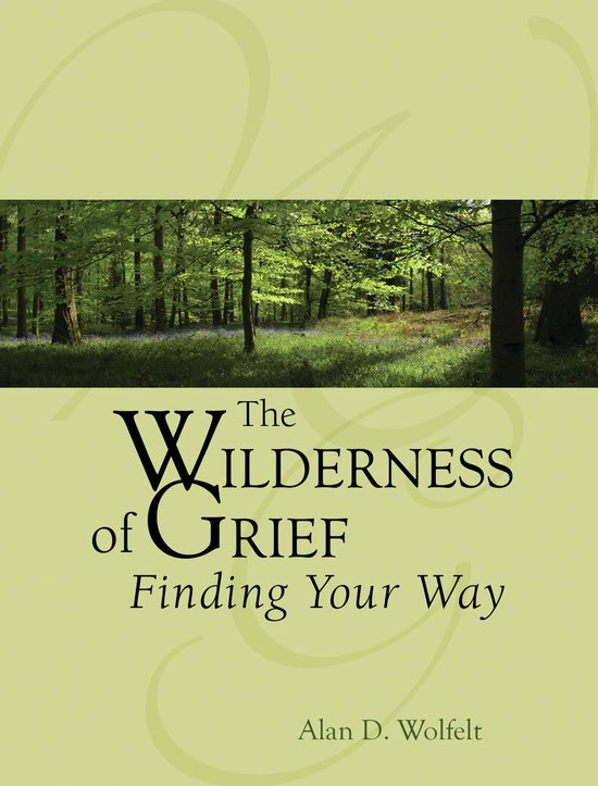 The Wilderness of Grief - cover