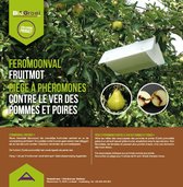 Biogroei Feromoonval Fruitmot - Fruitmot bestrijden - Ongediertewering - Natuurlijke bestrijding