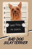 Bad Dog Silky Terrier