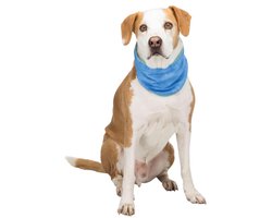 Trixie Koel Bandana Maat - S