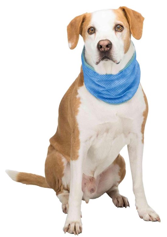 Trixie Koel Bandana Maat - S