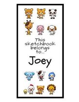 Joey Sketchbook