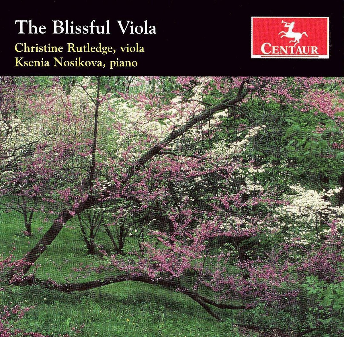 Blissful Viola