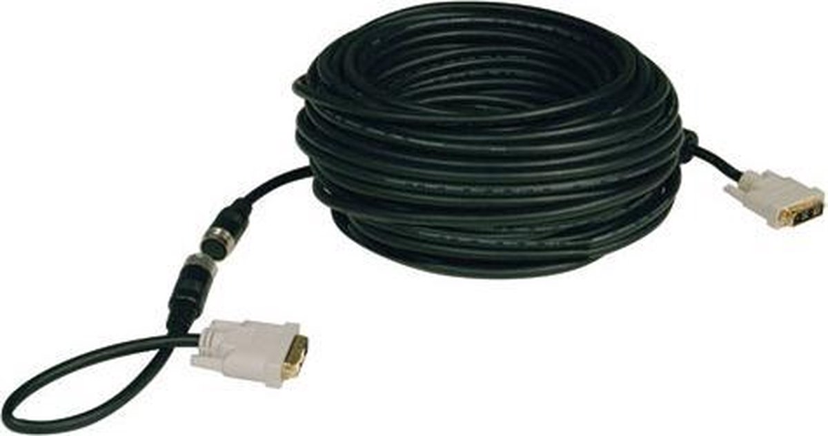 Tripp Lite P561-100-EZ DVI kabel 30,5 m DVI-D Zwart - Tripp Lite