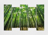 Braveprint - Schilderij - Bamboo Grove Vijf Verticale Panelen. Uitgerekt Het Frame. % Katoen. - Wit, Groen En Geel - 150 X 100 Cm