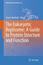 Subcellular Biochemistry 62 - The Eukaryotic Replisome: a Guide to Protein Structure and Function