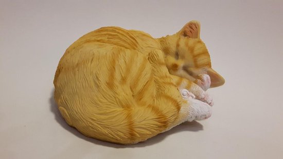 Rijk Stemmen antwoord levensechte slapende kat rood, van polystone | bol.com