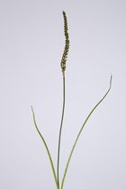 Tarwegras - zijden bloem -  per 3 stuks - 95cm