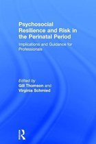 Psychosocial Resilience and Risk in the Perinatal Period