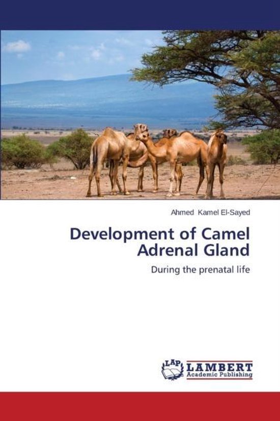 Development of Camel Adrenal Gland - cover