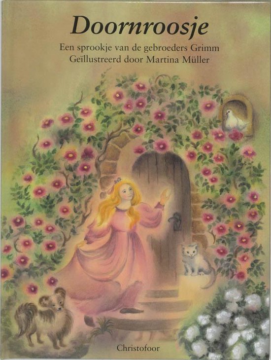 Cover van het boek 'Doornroosje' van Jacob Grimm