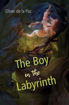 Akron Poetry-The Boy in the Labyrinth