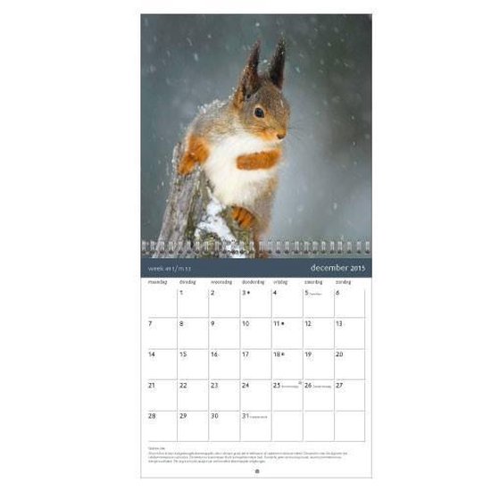 Kalender 2016 Natuurmonumenten (25cm x