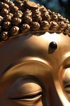 Gouden Boeddha hoofd, close-up van het gezicht en het gekrulde haar.
