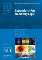 Extragalactic Jets from Every Angle IAU