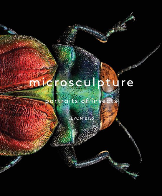 Microsculpture - cover