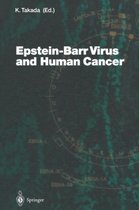Epstein-Barr Virus and Human Cancer