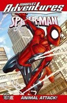 Marvel Adventures Spider-Man 13