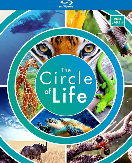 Cover van de film 'Circle Of Life'