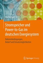 Stromspeicher und Power-to-Gas im deutschen Energiesystem