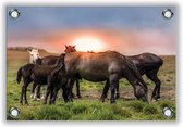 Tuinposter Paarden bij Zonsondergang 60x40cm- Foto op Tuinposter (wanddecoratie voor buiten en binnen)