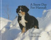 A Snow Day for Hannah