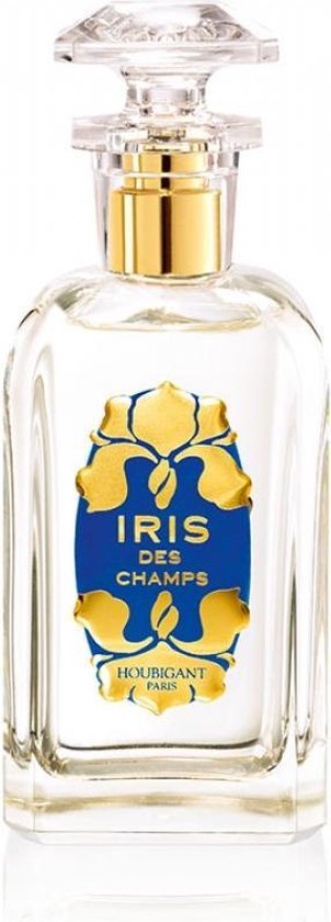 iris de champs