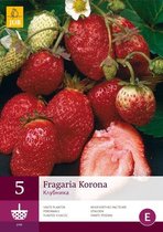5 Fragaria / Aardbeien Korona