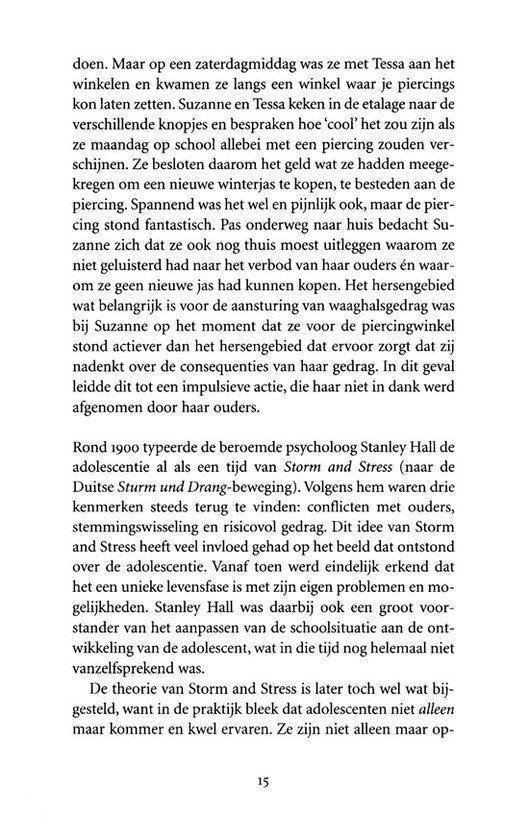 Het puberende brein