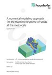 A numerical modeling approach for the transient response of solids at the mesoscale.