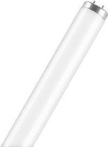 Osram SA-Type T12 fluorescente lamp 20 W G13 Koel wit