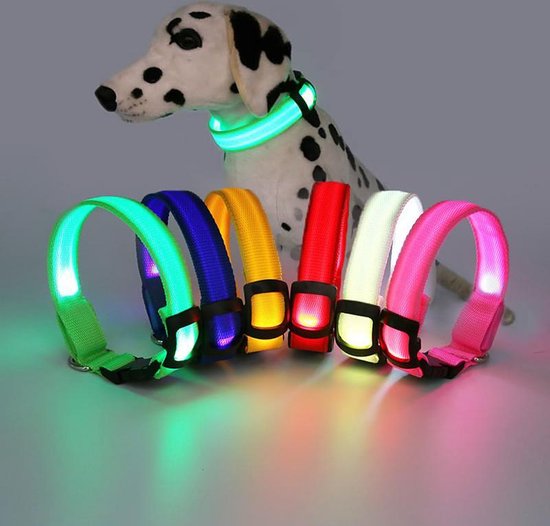 Bij wet hebzuchtig drie Halsband voor hond met led verlichting - groen - maat M (40-48cm) -  lichtgevende... | bol.com