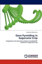 Gene Pyrmiding in Sugarcane Crop
