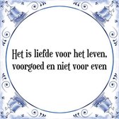 Tegeltje met Spreuk (Tegeltjeswijsheid): Het is liefde voor het leven, voorgoed en niet voor even + Kado verpakking & Plakhanger