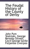 The Feudal History of the County of Derby