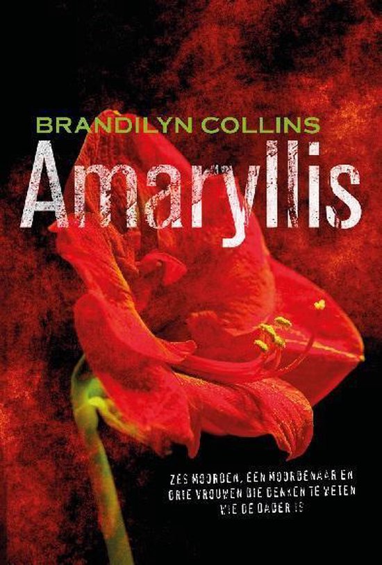 Amaryllis - cover