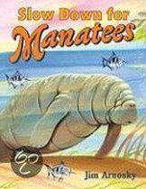 Slow Down for Manatees