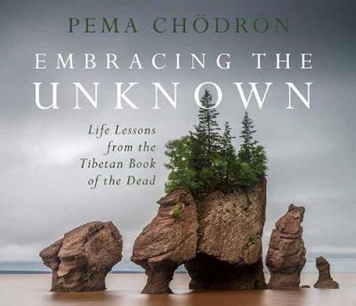 Embracing the Unknown - Pema Chodron
