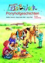 Kleine Lesetiger Ponyhofgeschichten