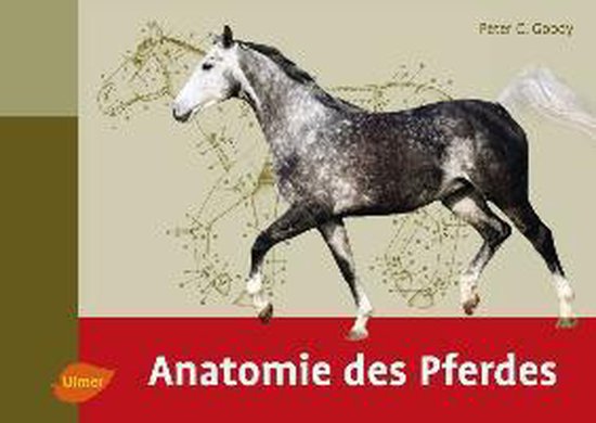 Anatomie des Pferdes - cover