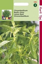 Hortitops Zaden - Basilicum Citroensmaak - Lemon Basil - Kemangi