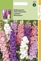 Hortitops Zaden - Delphinium Ajacis Hyacinthbloemig Gemengd