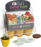 Buzzy® Rob's Snoeptuin Kweekset Eetbare Bloemen