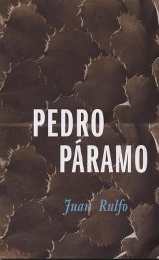 Boek "Pedro Páramo" van Juan Rulfo, met een bruine, abstracte achtergrond.