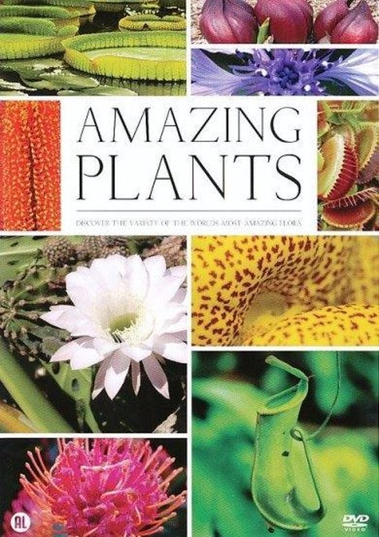 Cover van de film 'Amazing Plants'